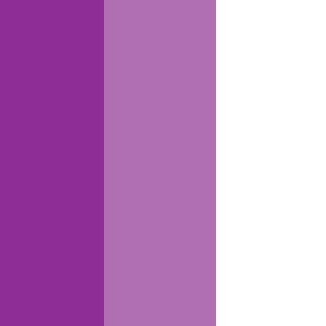 2. White/Lilac/Purple