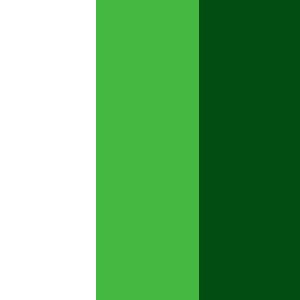 6. Dark Green/Green/White