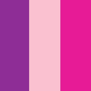 8. Fuchsia/Pink/Purple